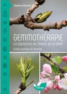 gemmotherapie-les-bourgeons-au-service-de-la-sante